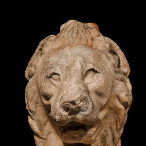 Trapezophoros Leg in the Form of a Lion