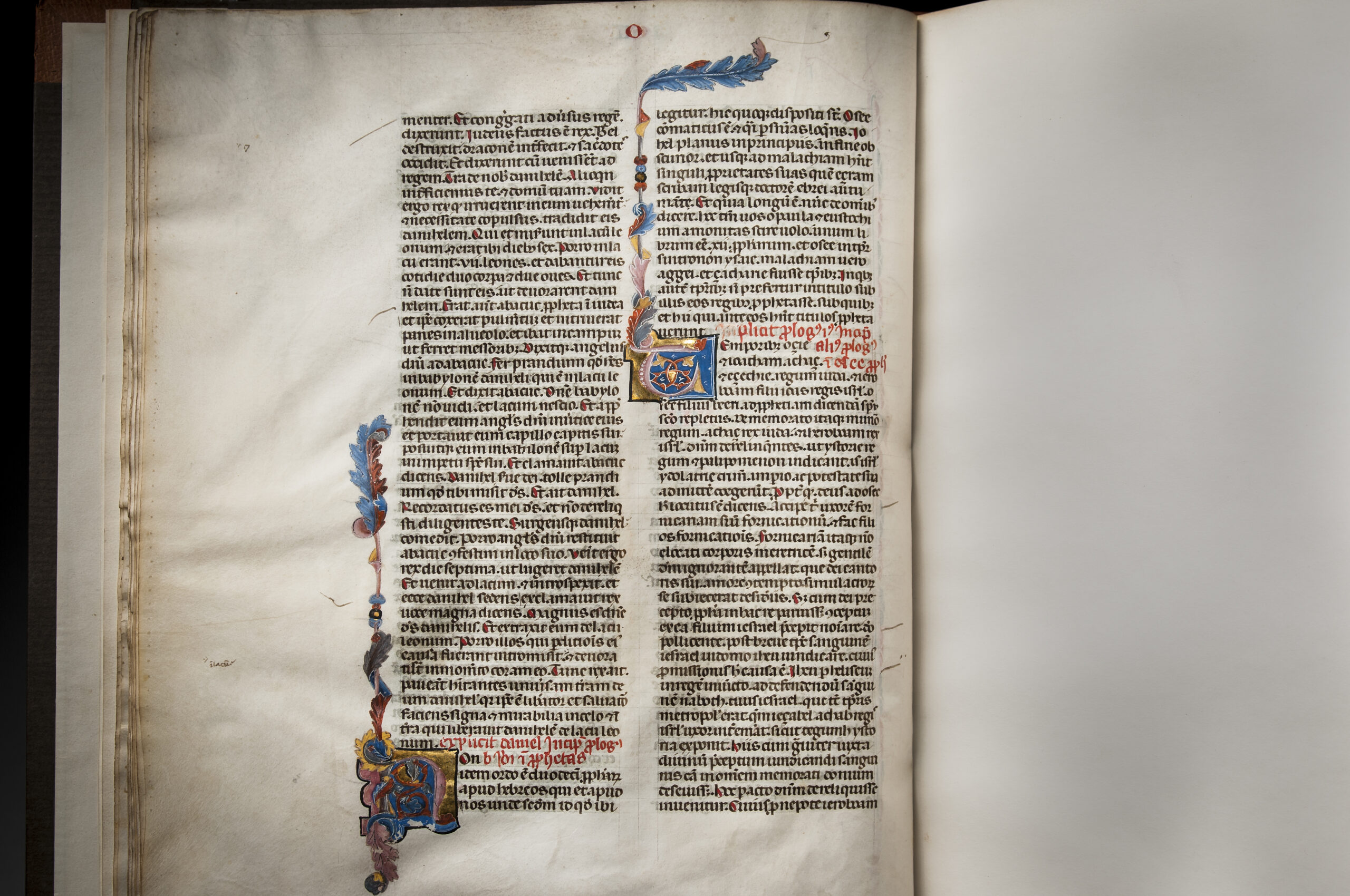 Book of Daniel, from a Folio Bible - Image 2