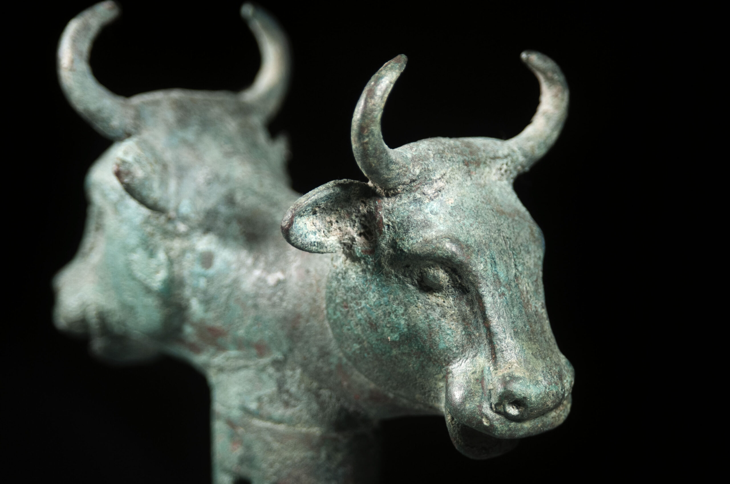 Bronze Double-Headed Bull Mace Head - Image 3