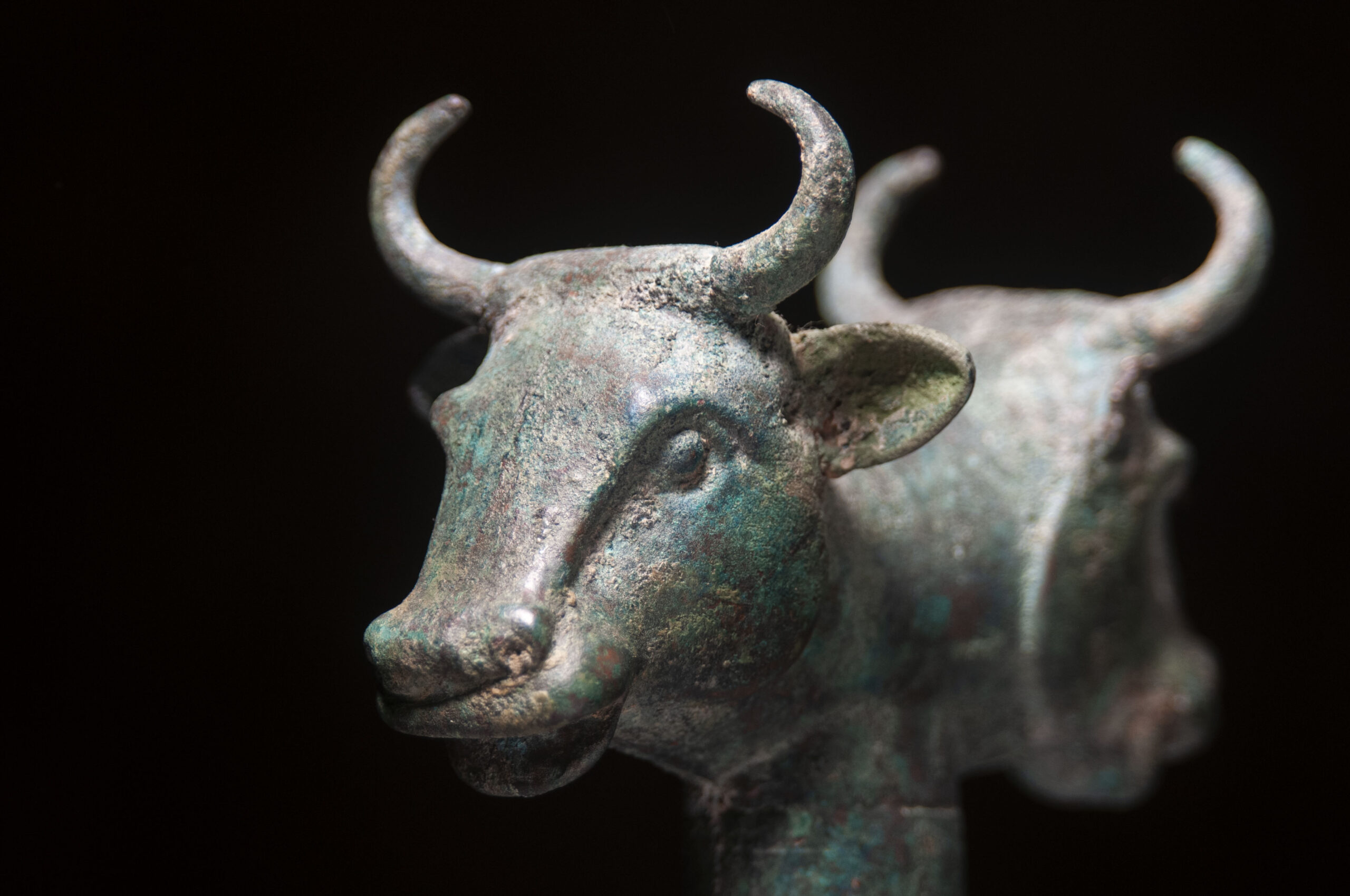Bronze Double-Headed Bull Mace Head - Image 4
