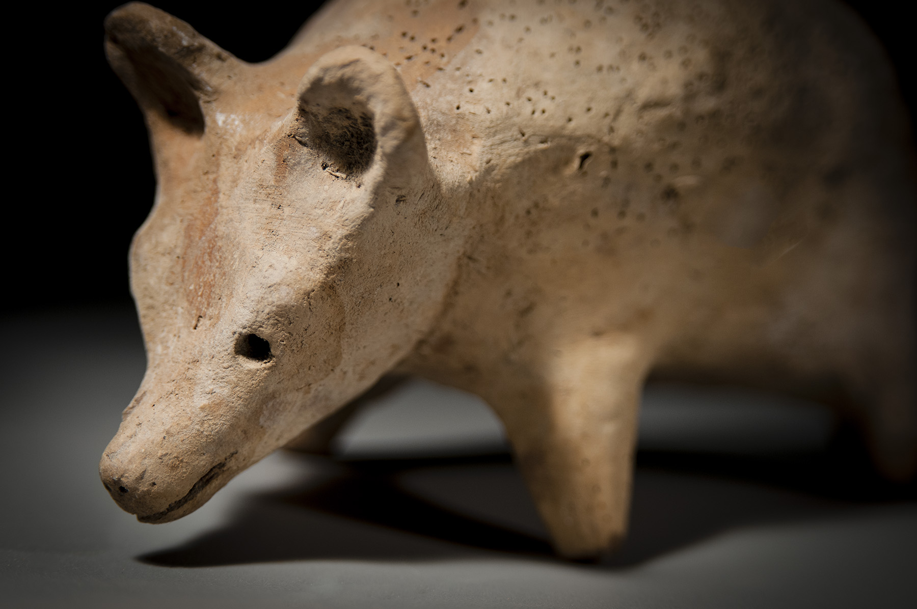 Roman Ceramic Hedgehog - Image 3