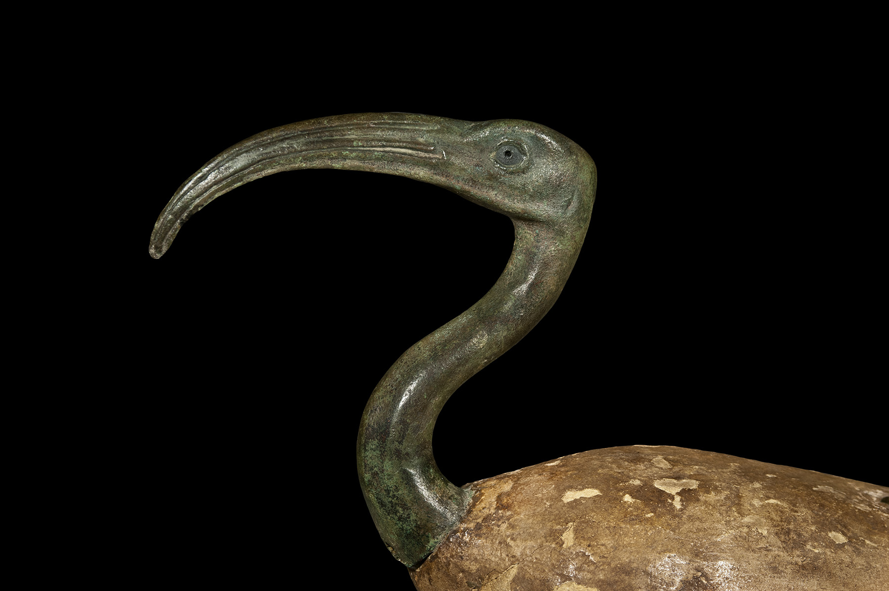 A Seated Figure of the God Thoth as an Ibis - Image 3