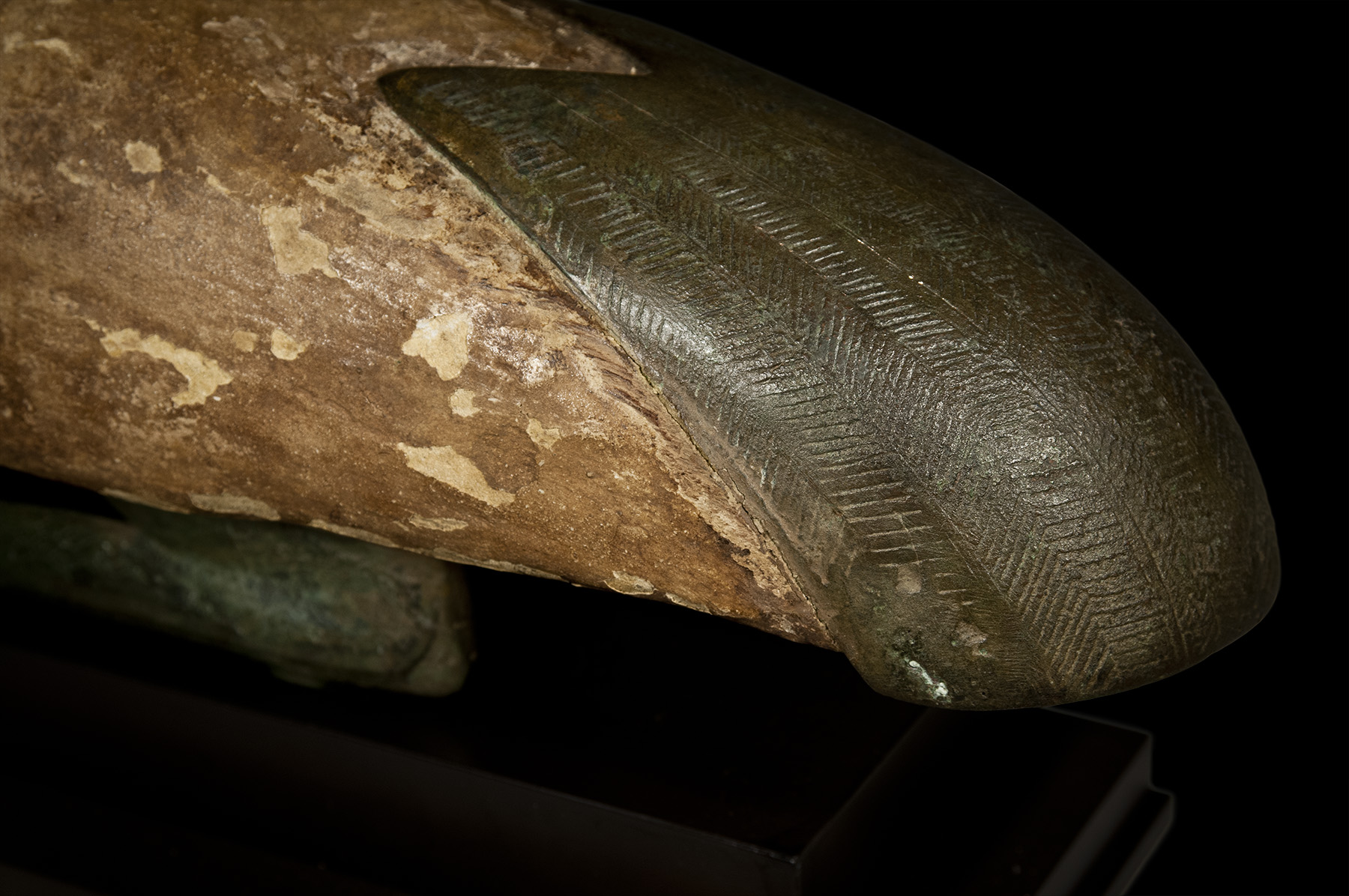 A Seated Figure of the God Thoth as an Ibis - Image 5