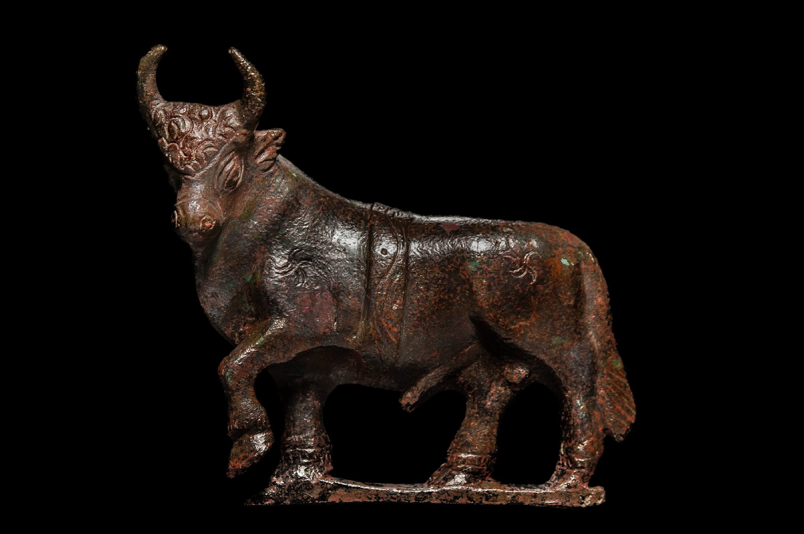 Bronze Imperial Roman Bull Stomping Hoof - Image 3